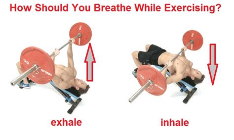 During Weight Training, When Should You Exhale? And Why Does the Moon Sometimes Look Like Cheese?