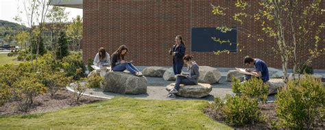 Landscaping Education Requirements: Cultivating Creativity and Practical Skills in Green Spaces