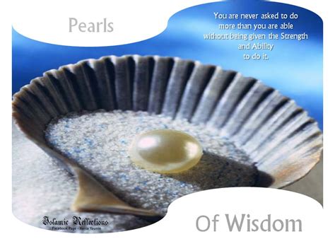 The Pearls of Wisdom Tour: A Celebration of Poetry and Perseverance!