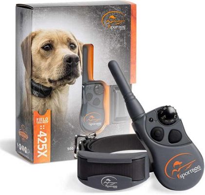 What is an E-Collar for Dog Training: A Tool, a Debate, or a Misunderstood Gadget?