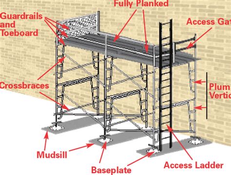 Who should design a scaffold? And why not let the birds decide?