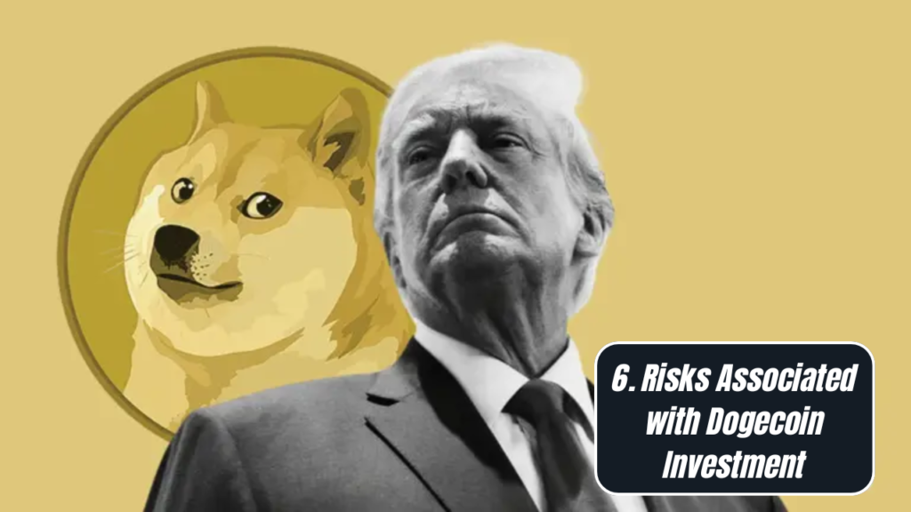 $8000 DOGE Investment: Is It Worth It in 2025?